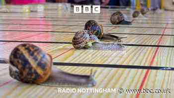 Central Library's snail race cancelled after protests