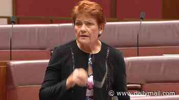 Pauline Hanson spends the first of her $3million 'fire the liar' donations on a cheeky stunt outside Albo's office - as venue pulls the plug on sold-out One Nation event after anti-racist protesters threatened to demonstrate