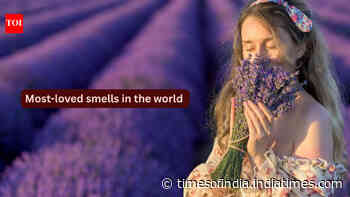10 most-loved smells in the world and where travellers can experience them