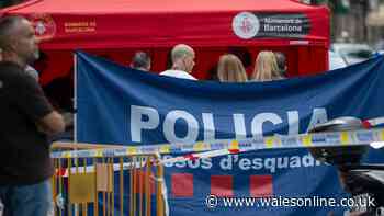 Brother of Irish sports star shot dead in broad daylight in Barcelona