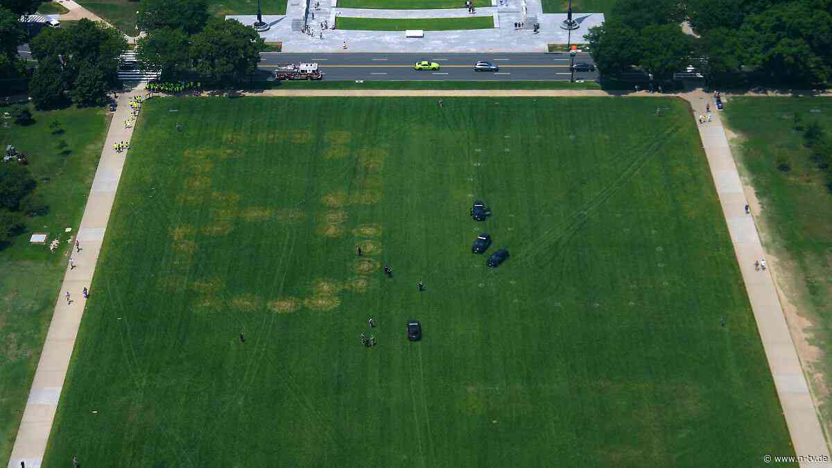 "86 47" auf Grünfläche entdeckt: Polizei ermittelt wegen mutmaßlicher Trump-Bedrohung