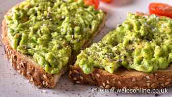 Avocado toast will be 'brimming with protein' if you add 1 extra ingredient