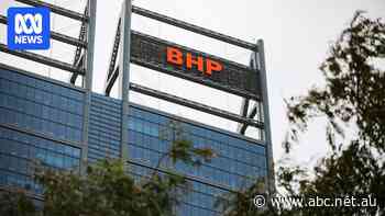 Federal mines minister backs unions' right to strike at BHP