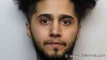 Iraqi asylum seeker who raped girls as young as 12 after plying them with drink and drugs at mini-mart before raping them is jailed for 29 years