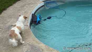 I Test Robotic Pool Cleaners for Work. This Is the One I Use in My Own Pool