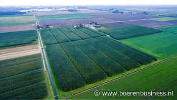 Rabobank: landbouw is enige sector die krimpt