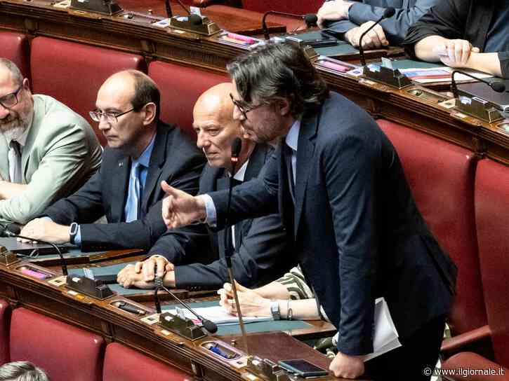 "Le ginocchiere della premier". L'attacco sessista del deputato grillino