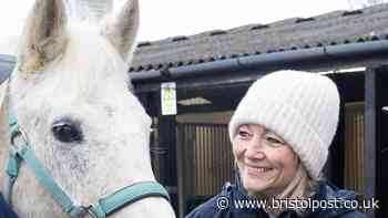 Horseworld boss speaks out on plans for 1,000-home new town