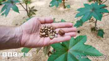 Man charged with producing ricin