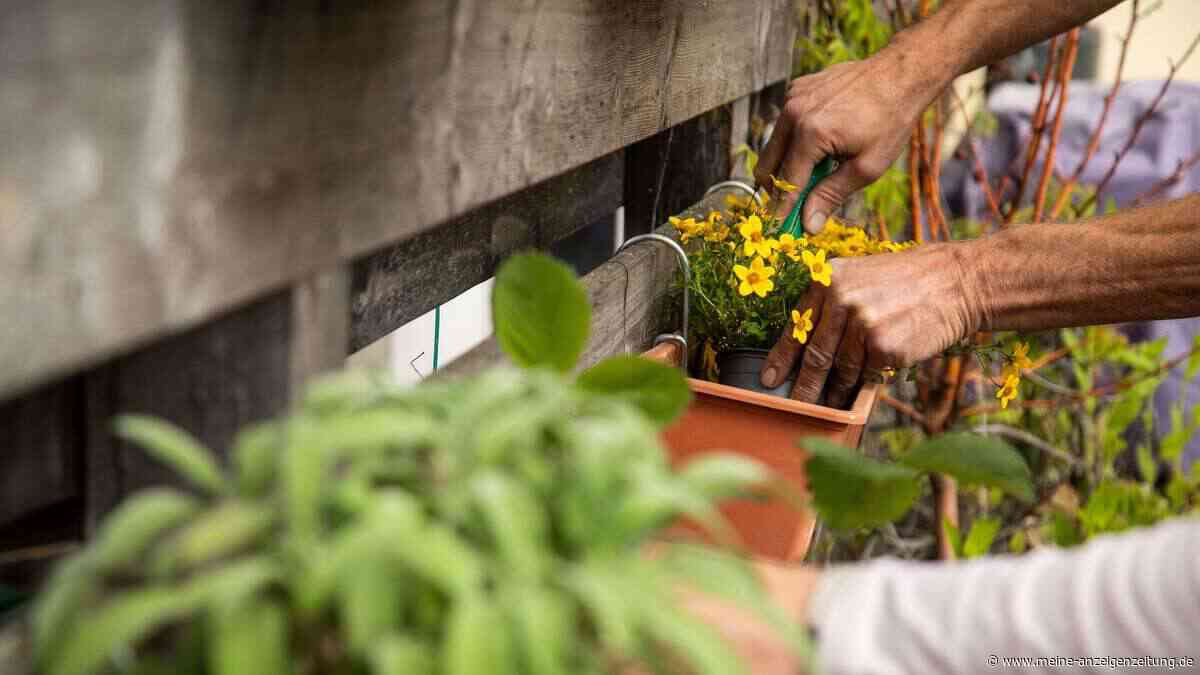 Warum pflegende Angehörige zur Gießkanne greifen sollten