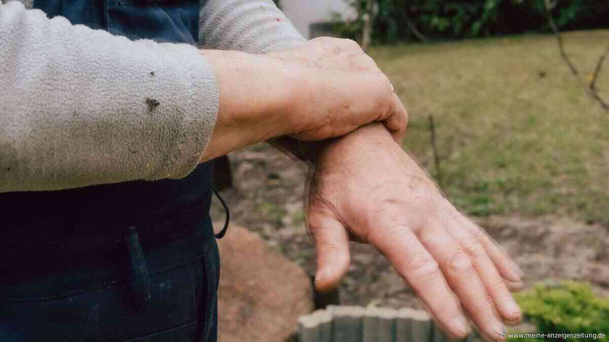 Darm-Studie zeigt: Parkinson beginnt lange vor den ersten Symptomen