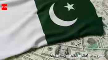 Pakistan eyes higher donkey meat, other related products export to China