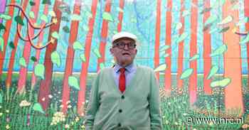 Voor kunstenaar David Hockney (88) was kijken het allergrootste plezier in het leven