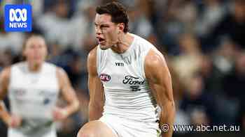 Live: Cats in control despite controversial call in crucial clash with Suns