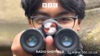 Who are South Yorkshire's newest ‘twitchers’?