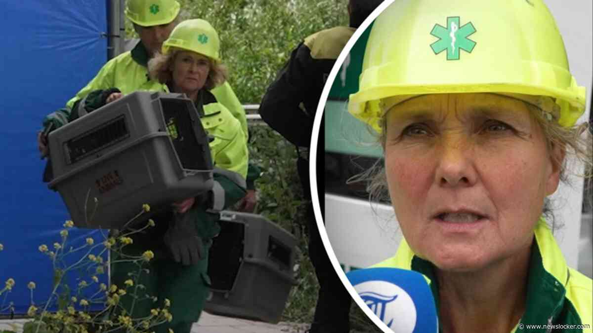 Dieren gered na explosie Amsterdam: 'Al twaalf uur lang in de stress'