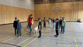 Tierärztin trainiert Grundschüler: Baum und Igel schützen vor Hunden