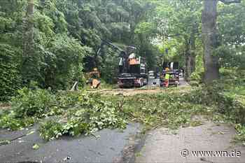 Baum fällt auf Mondstraße – Straße gesperrt