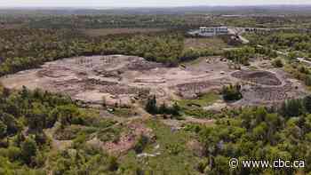 N.S. investigates alleged illegal landfill as businessman caught in crosshairs cries foul