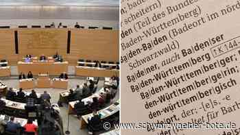 „Badenser“-Debatte um AfD-Mann: Sprachexperte – „Wer sich da aufregt, muss schon sehr badensisch sein“