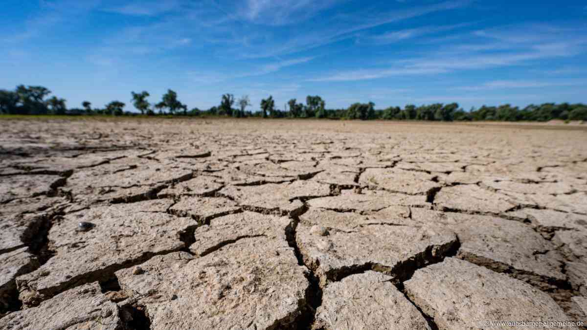 El Niño ist zurück: Wie gravierend sind die Auswirkungen des „Super-El-Niño“ auf Bayern?