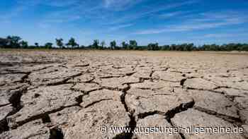 El Niño ist zurück: Wie gravierend sind die Auswirkungen des „Super-El-Niño“ auf Bayern?