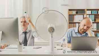 HR expert explains your right to work in heatwaves — how hot is too hot