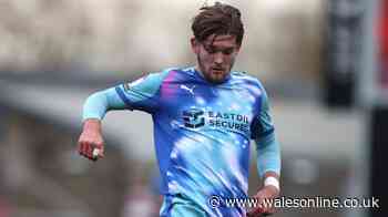 Swansea City and West Ham named in four-way tussle for award-winning striker