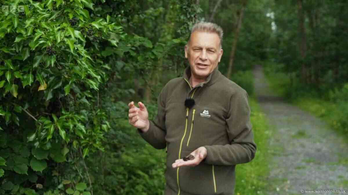 Springwatch viewers 'emotional' as presenter Chris Packham makes announcement