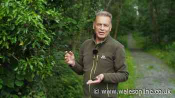 Springwatch viewers 'emotional' as presenter Chris Packham makes announcement