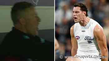 ‘It’s a gift’: Costly call leaves coach ‘furious’ as Cats blitz silences Suns — LIVE AFL