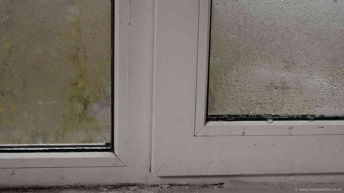 Remove mould from windowsills with 2 kitchen items