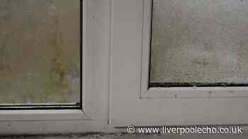 Remove mould from windowsills with 2 kitchen items