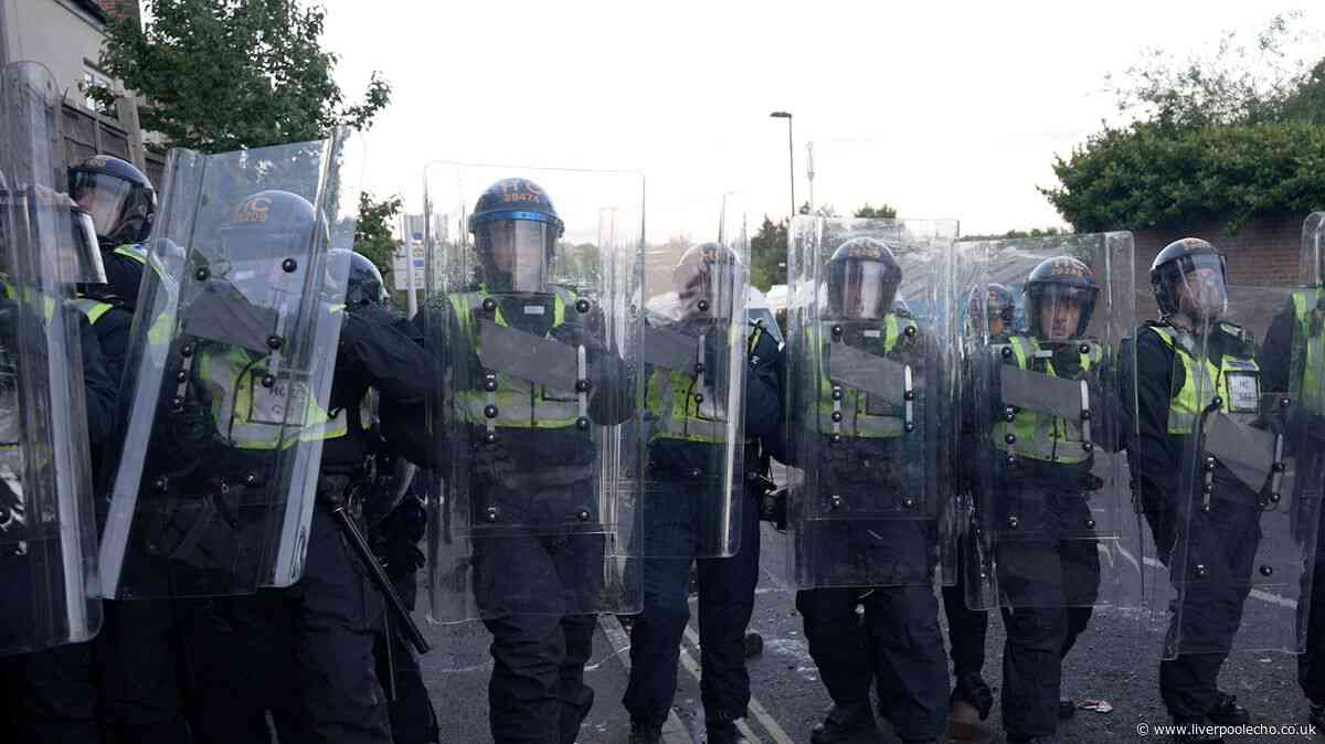 Man admits attending Henry Nowak protest and 'throwing frying pan' at police