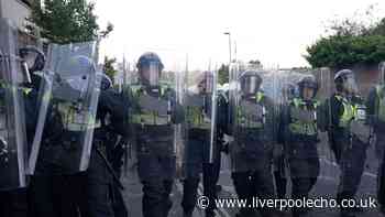 Man admits attending Henry Nowak protest and 'throwing frying pan' at police