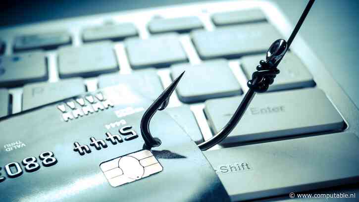 Belgisch slacht­of­fer van online-fraude verliest gemiddeld 4.000 euro, Ne­der­lan­der 820 euro