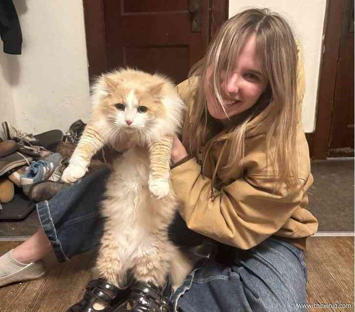 Queen’s students help support animal welfare in Kingston