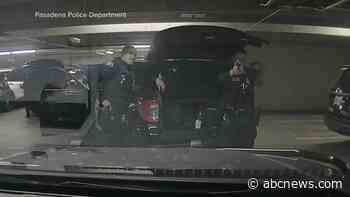 WATCH:  California officer accidentally shot by colleague during 'horseplay'