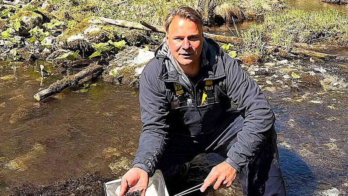 35.000 Seeforellen vom Tegernsee zum Königssee transportiert – Fischerei sorgt für Nachwuchs