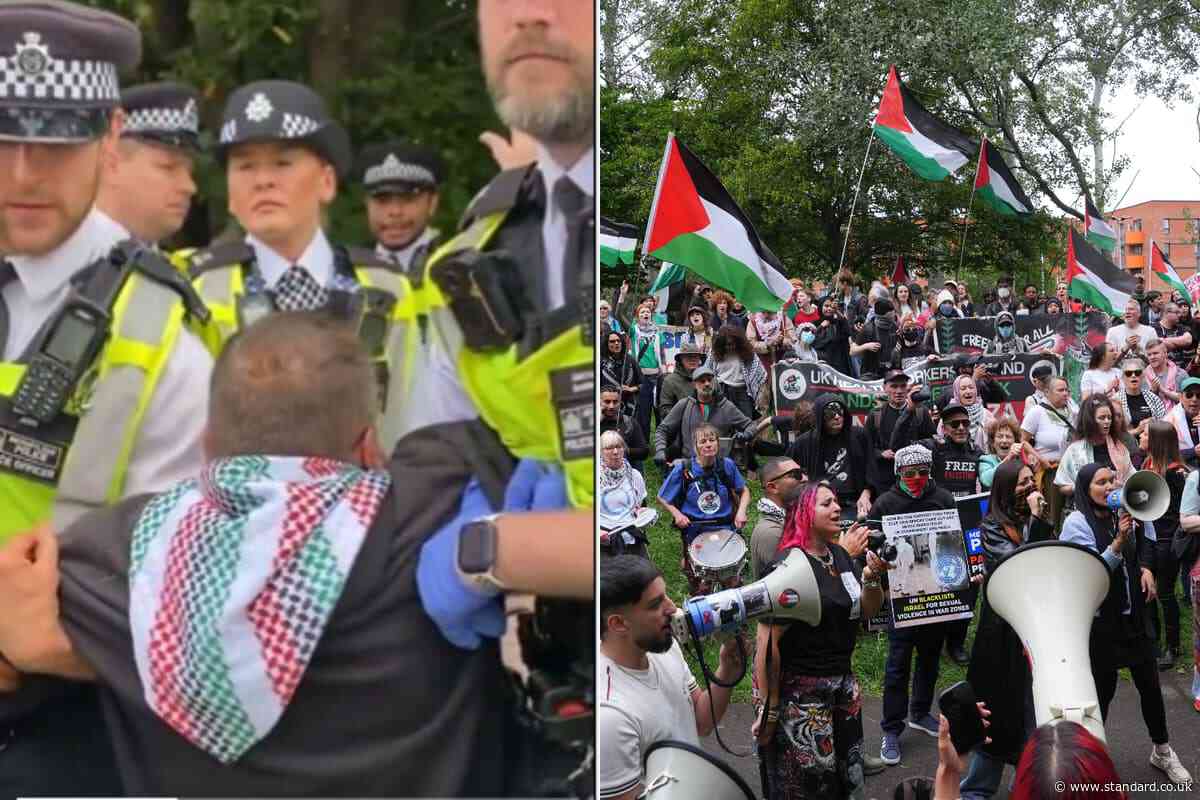 Protesters detained by Met outside court as hundreds gather ahead of sentencing of Palestine Action activists