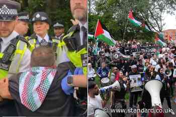 Protesters detained by Met outside court as hundreds gather ahead of sentencing of Palestine Action activists
