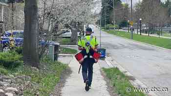 Parts of Kitchener set to switch from door-to-door delivery to community mailboxes