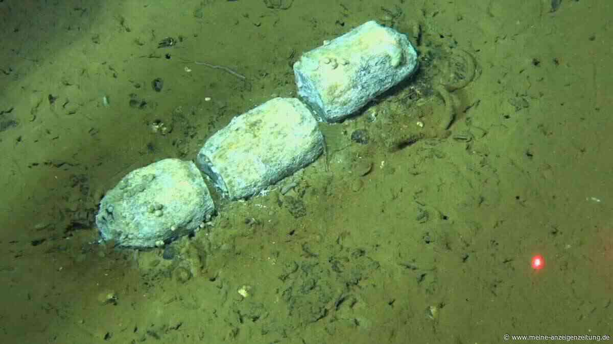 Forscher entdecken größten bekannten Walfriedhof in 7.000 Metern Tiefe