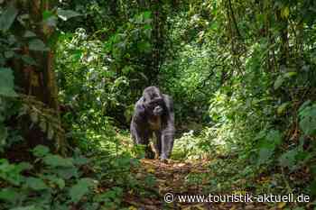Uganda Tourism Board startet Roadshow
