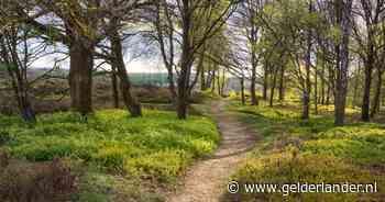Wandeling met gids op Veluwezoom zondag 14 juni