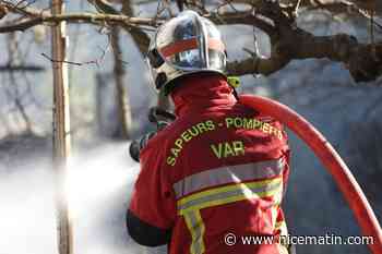 6 000 m2 détruits, 45 pompiers et 10 camions mobilisés : deux départs de feu de végétation ont eu lieu simultanément le long de l’A8 à Tanneron