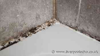 Shower grout mould 'gone in 1 hour' if cleaned with two staple items - not bleach