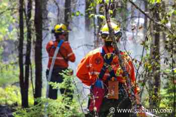 Rainfall helps progress of crews fighting Gogama-area fire