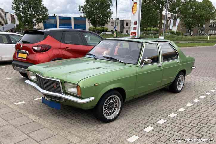 Vauxhall VX 1800 Automatic, trouwe hond - In het wild