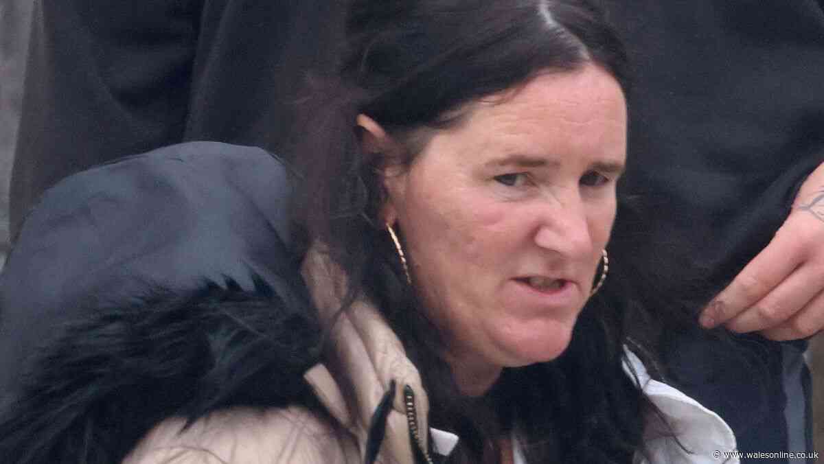 Grandmother hurled missiles at police as she 'jumped on bandwagon' during Ely riots